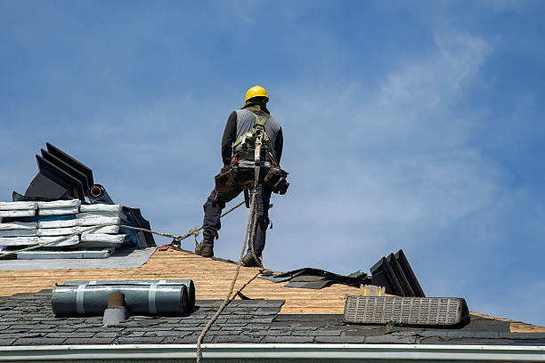 Professional Roof Replacement technician working in Wallace, LA